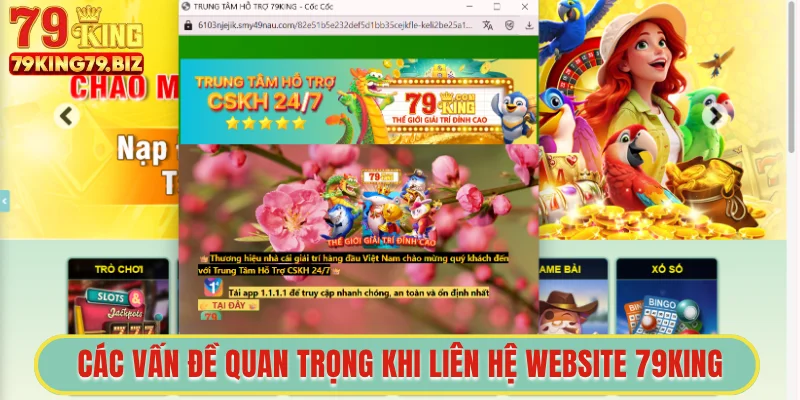Các vấn đề quan trọng khi liên hệ website 79King