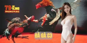 Đá gà c3 tại 79king